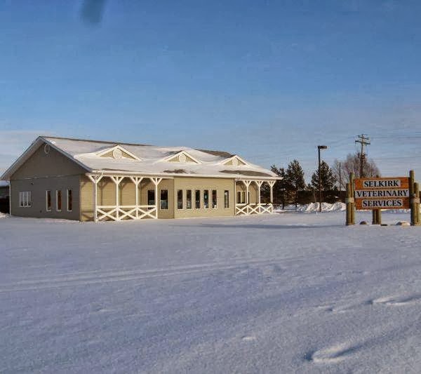 Selkirk Veterinary Services | 6 Wersch St, Selkirk, MB R1A 2B2, Canada | Phone: (204) 482-5720