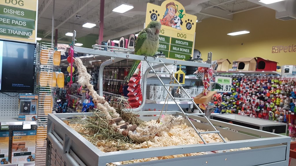 Petland Manning | 15526 37 St NW, Edmonton, AB T5Y 0S5, Canada | Phone: (780) 475-5399