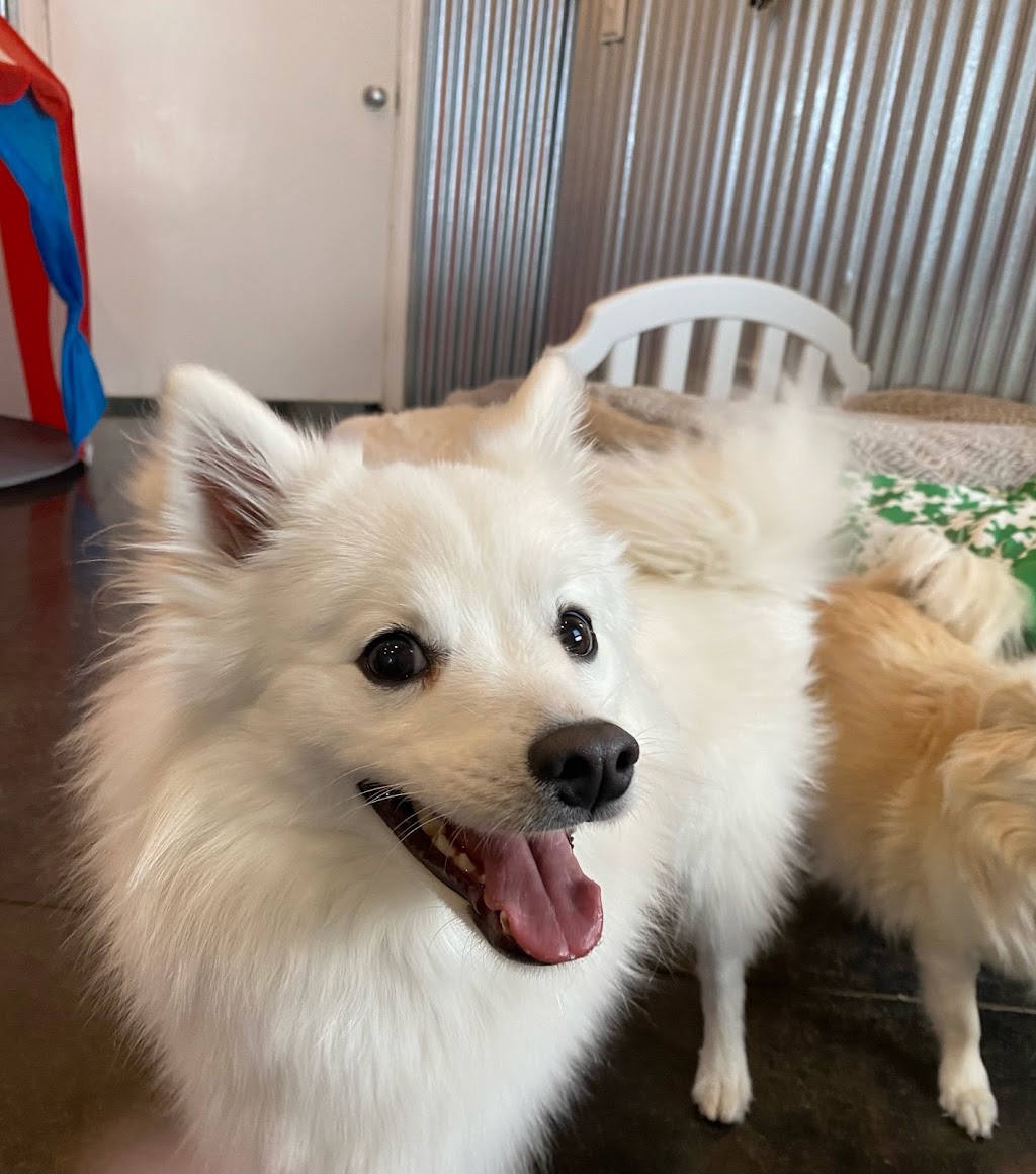 Piper Creek Pet Resort | 37406 Range Rd 271, Alberta T4E 1L6, Canada | Phone: (403) 347-3967