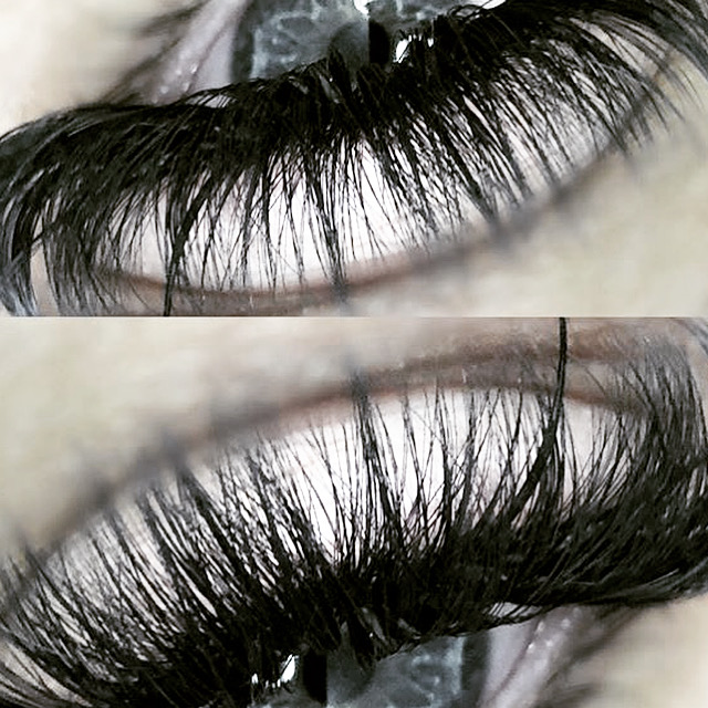 The Brow And Lash Boutique | 1 Nickel Gate unit 8, Woodbridge, ON L4L 8L7, Canada | Phone: (416) 845-9755