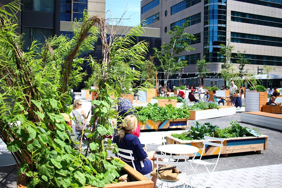 Les Urbainculteurs | 14 Rue Soumande local 0-17, Québec, QC G1L 0A4, Canada | Phone: (418) 694-7047
