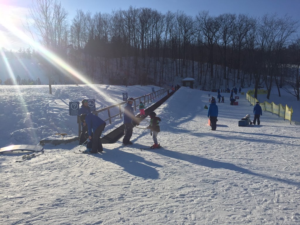 Plunge Super Camp | 220 Gord Canning Dr, The Blue Mountains, ON L9Y 0V9, Canada | Phone: (877) 445-0231