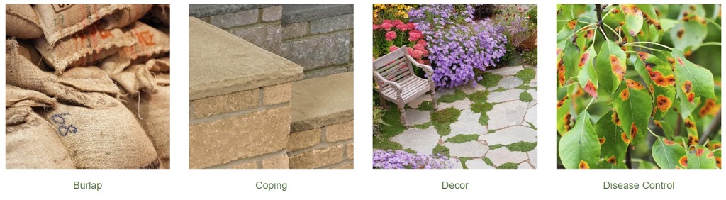 Humber Nurseries Ltd | 14905 Bramalea Rd, Caledon, ON L7C 2R5, Canada | Phone: (416) 798-8733