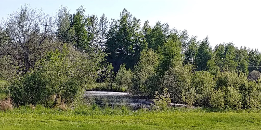 Big Tee Golf Resort RV Park and Motel | 48111 Hwy 20 N, Breton, AB T0C 0P0, Canada | Phone: (780) 696-3883