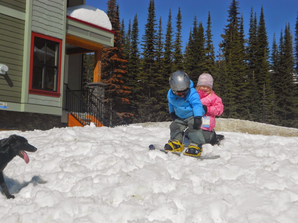 Silver Star Stays | 9802 Silver Star Rd #209, Vernon, BC V1B 3M1, Canada | Phone: (250) 241-7827