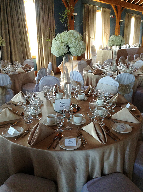 Elite Party Rentals | 30 Mills Rd Unit D, Barrie, ON L4N 6H4, Canada | Phone: (705) 722-6030