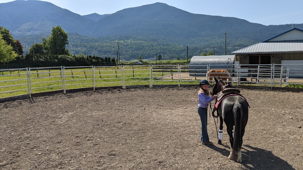 Jim Greendyk Performance Horses | 49815 Chilliwack Central Rd, Chilliwack, BC V2P 6H3, Canada | Phone: (604) 217-7700