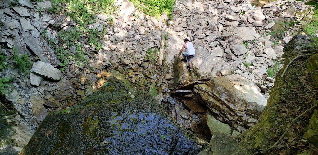Webwood Falls Nature Reserve | Sideroad 25, Kimberley, ON N0C 1G0, Canada | Phone: (877) 733-4739