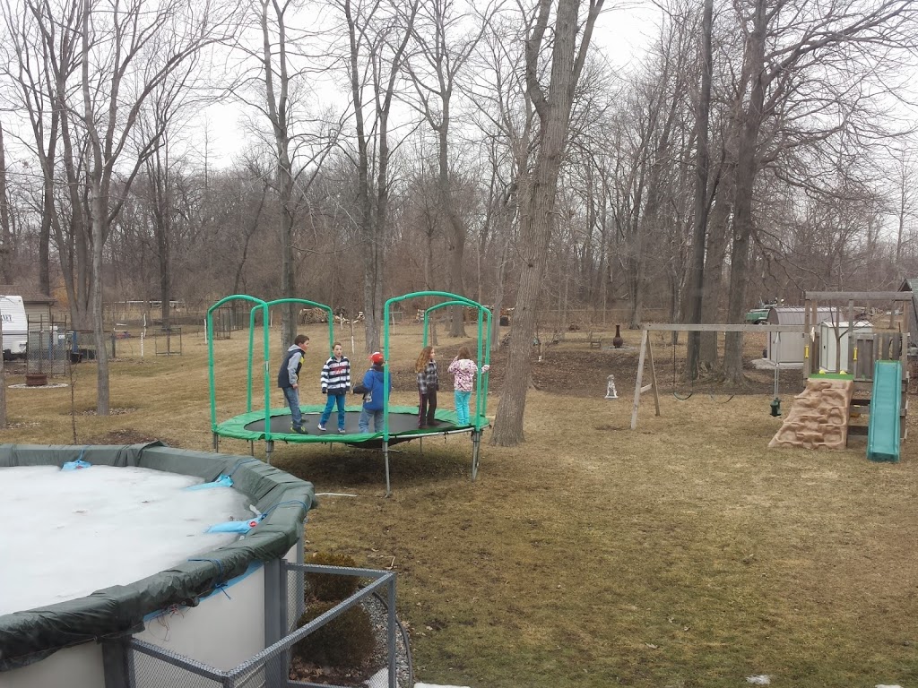 Atoy Animal Removal | 1480 Bouffard Rd, Windsor, ON N9J 1G9, Canada | Phone: (519) 919-5636