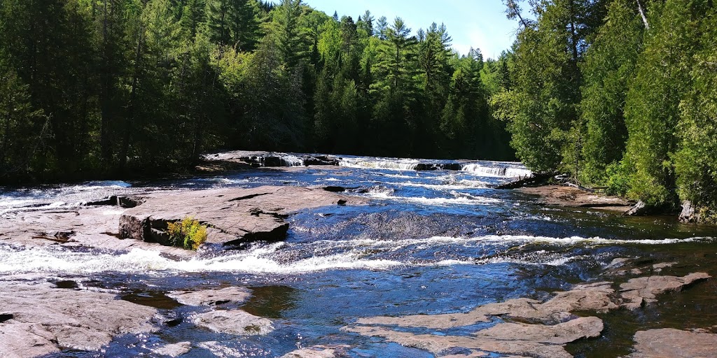 Wildlife Mastigouche | Rang des Pins-Rouges, Saint-Alexis-des-Monts, QC J0K 1V0, Canada | Phone: (800) 665-6527