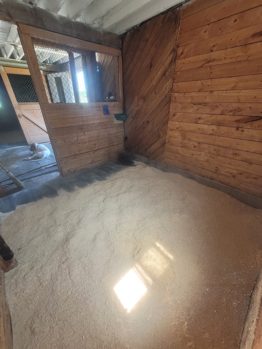 Les Écuries Milton Stables | 1297 10e Rang O, Saint-Adrien, QC J0A 1C0, Canada | Phone: (819) 432-5521