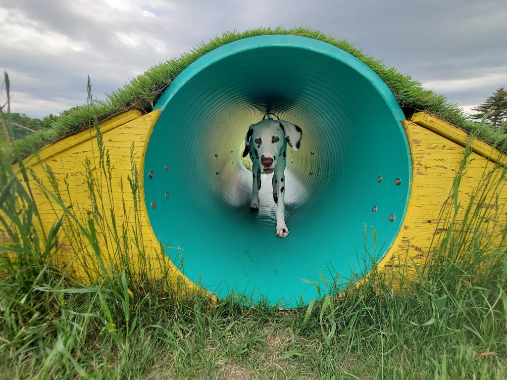 Country Club Pet Resort | 282063 Township Rd 224A, Alberta T1X 0J2, Canada | Phone: (403) 936-5685