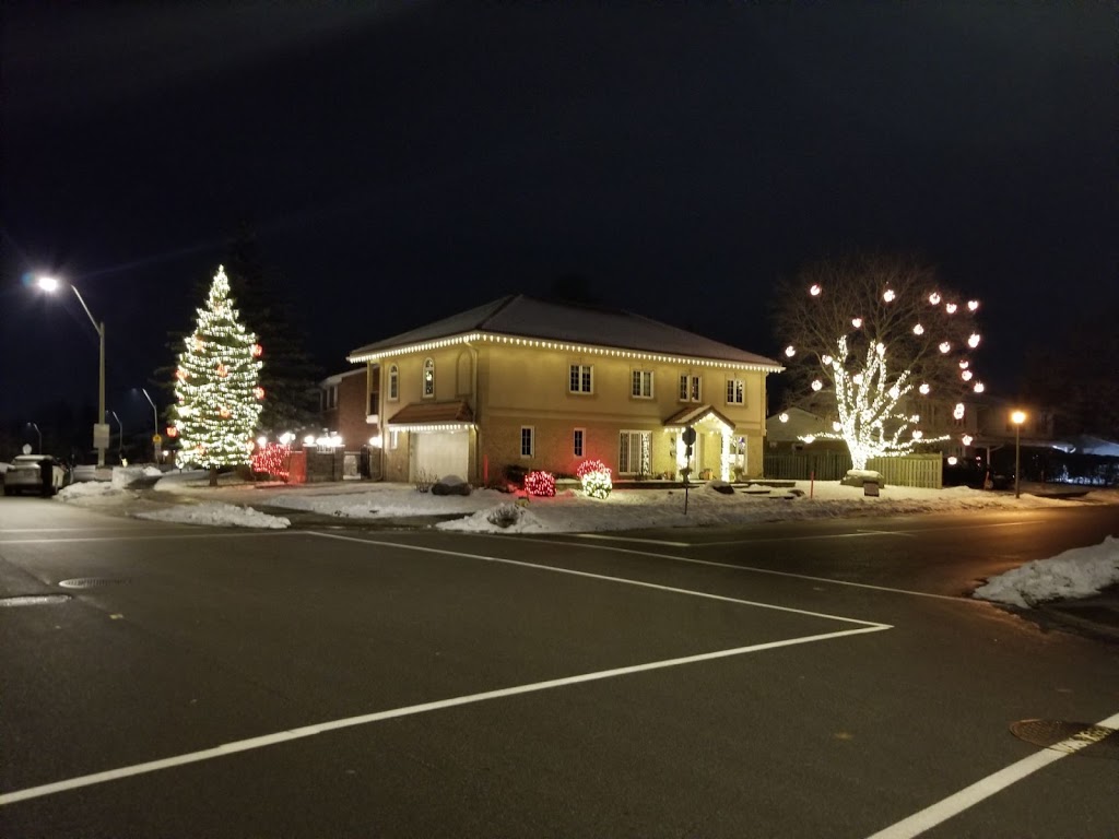 Christmas Lights Ottawa | 2709 Stevenage Dr, Ottawa, ON K1G 3N2, Canada | Phone: (613) 744-7336