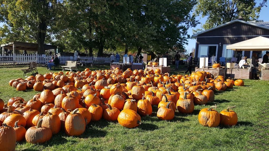 Myers Apple Farm | 37 Hamilton Regional Rd 52, Hamilton, ON L0R, Canada | Phone: (905) 627-0420