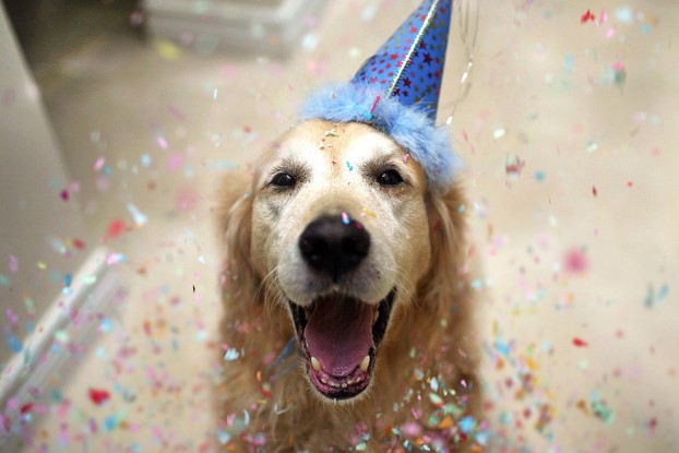 Aqua Confort Animal | 1697 Rue Notre Dame, LAncienne-Lorette, QC G2E 3B9, Canada | Phone: (418) 914-3444