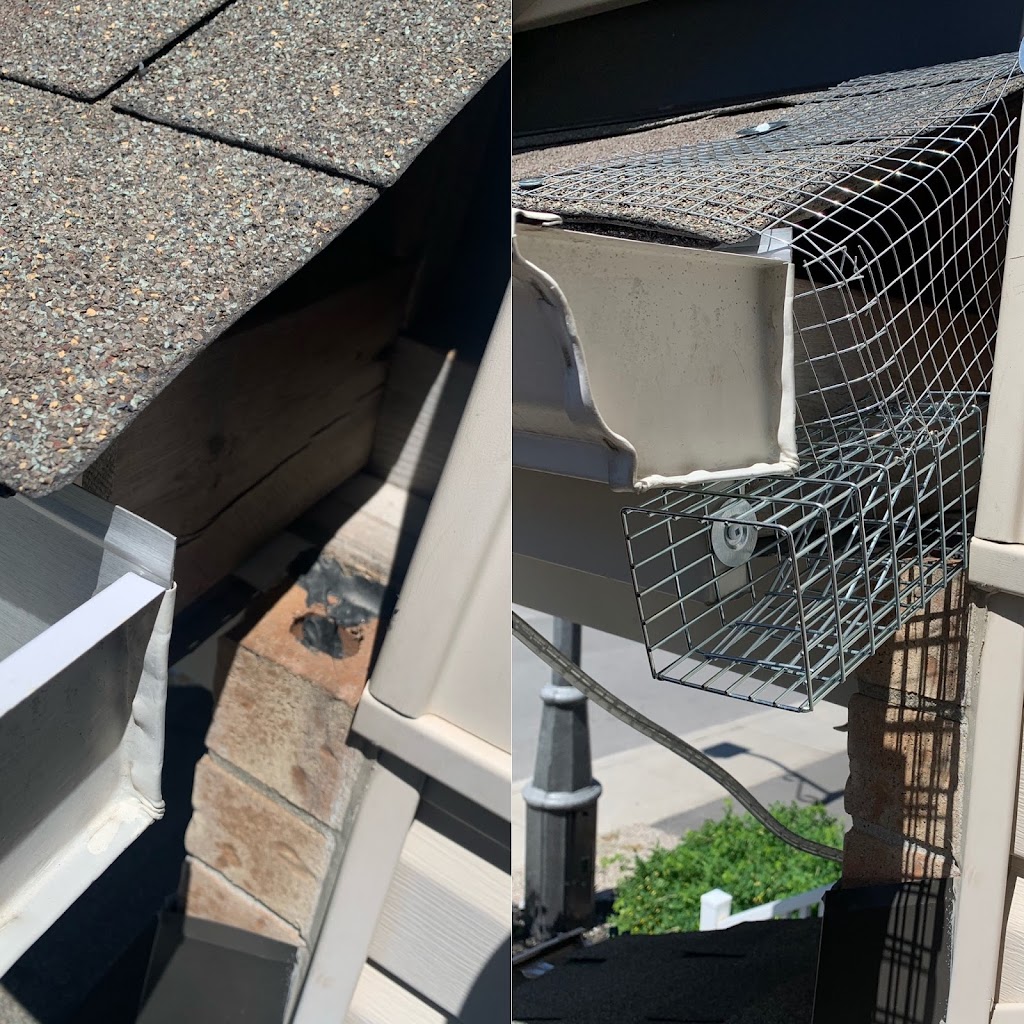 Mr. Pests Control Ottawa | 823 Cedar Creek Dr, Ottawa, ON K1T 0N5, Canada | Phone: (613) 620-1668