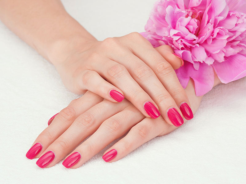 Deb n Hair | 5 - 240 Wilson St E, Ancaster, ON L9G 2B7, Canada | Phone: (905) 648-6401
