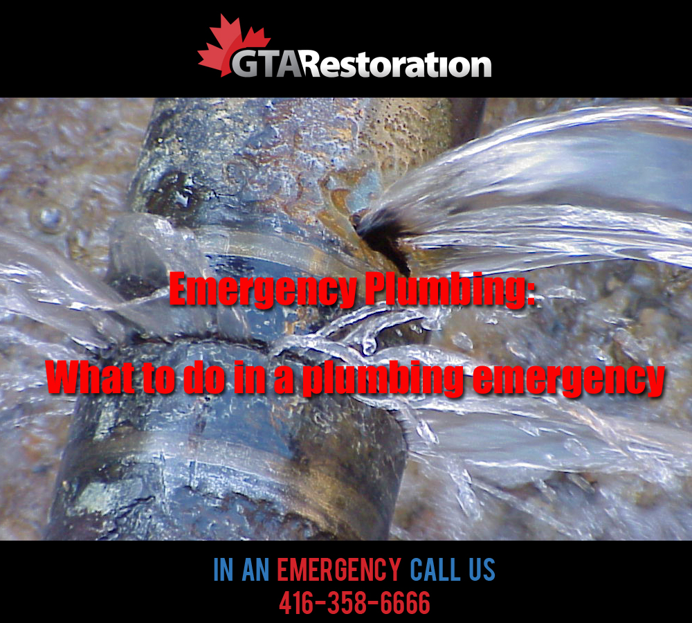Flooded Basement Cleanup Toronto & GTA | 12 Upjohn Rd, North York, ON M3B 2V9, Canada | Phone: (416) 358-6666