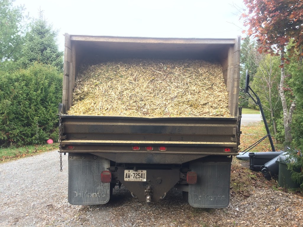 REDWAL Tree Service | 44 Riverview Dr, Omemee, ON K0L 2W0, Canada | Phone: (705) 768-2855