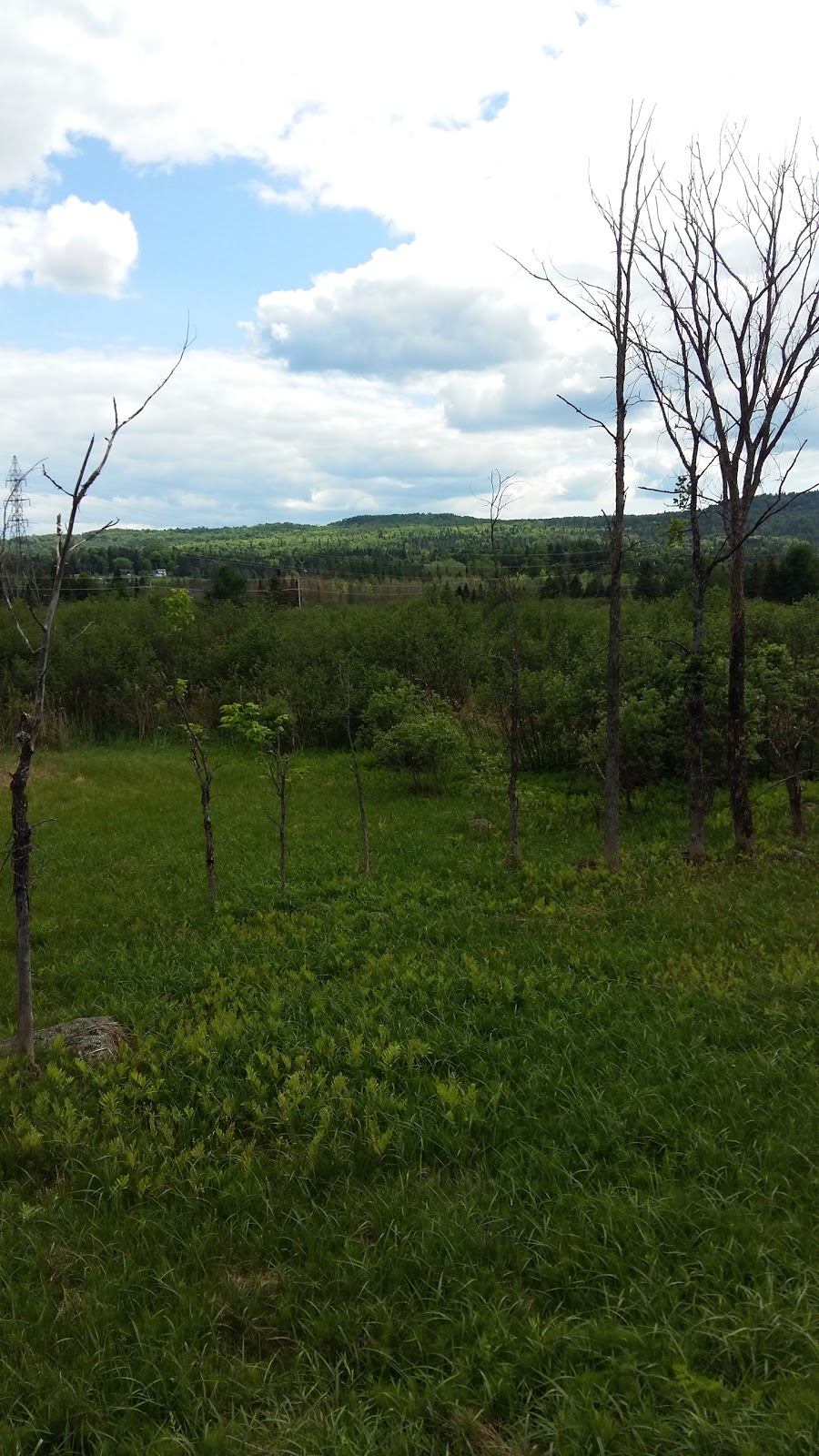 Béton Innovatech inc. | 2544 Chem. des Entreprises Local E, Saint-Sauveur, QC J0R 1R7, Canada | Phone: (450) 644-0058