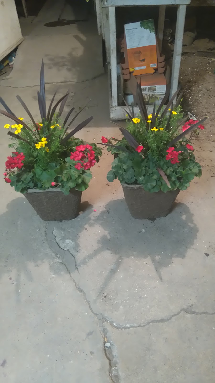 Shaughnessy Greenhouse | 5 St, Shaughnessy, AB T0K 2A0, Canada | Phone: (403) 381-4791
