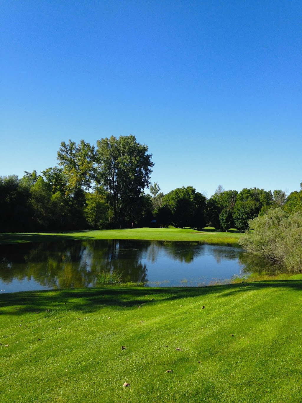 Arkona Fairways Golf Club | point of interest | 8562 Townsend Line, Arkona, ON N0M 1B0, Canada | 5198283211 OR +1 519-828-3211