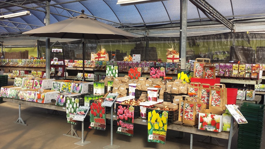Plant World | 4000 Eglinton Ave W, Etobicoke, ON M9A 4M2, Canada | Phone: (416) 241-9174