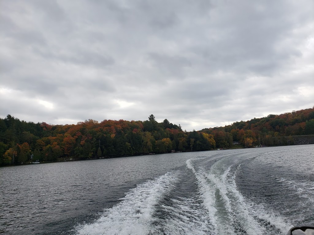 Skeleton Lake Marina / Muskoka Marinas | 1008 Skeleton Lake 3 Rd, Utterson, ON P0B 1M0, Canada | Phone: (705) 769-2151