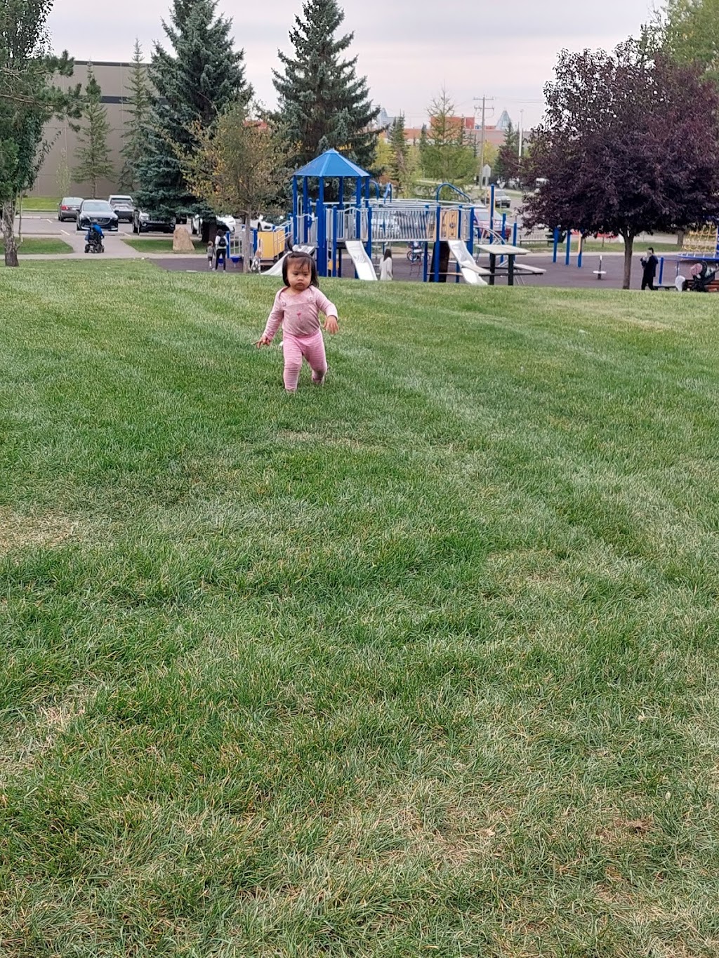 Precious Dayhome | 7 Martinpark Way NE, Calgary, AB T3J 3M8, Canada | Phone: (587) 716-9633