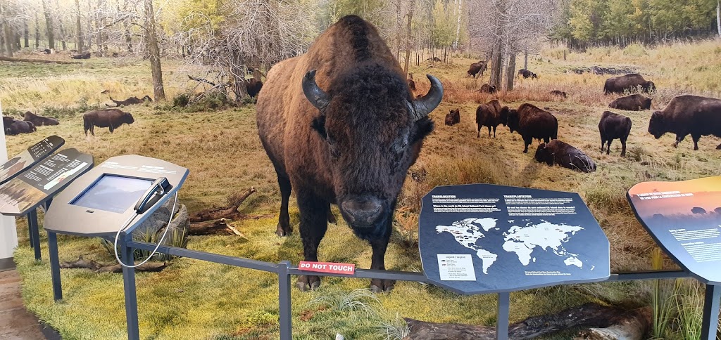 Visitor Centre | Improvement District No. 13, AB T8G 2A6, Canada | Phone: (780) 922-5790