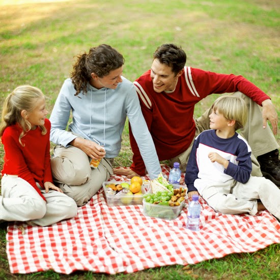 Willoughby Insurance | 3652 South Park Ave, Blasdell, NY 14219, USA | Phone: (716) 823-2300