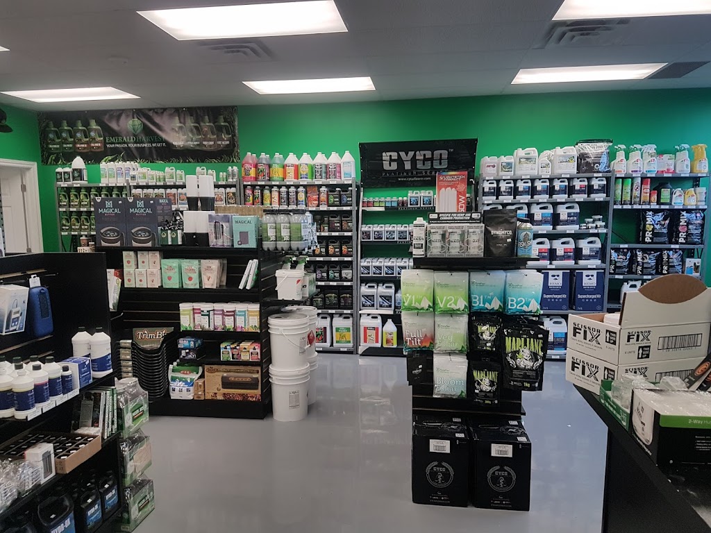 Tree of Life Inc. | 258 King St E Unit 2A, Bowmanville, ON L1C 5C4, Canada | Phone: (905) 623-8400