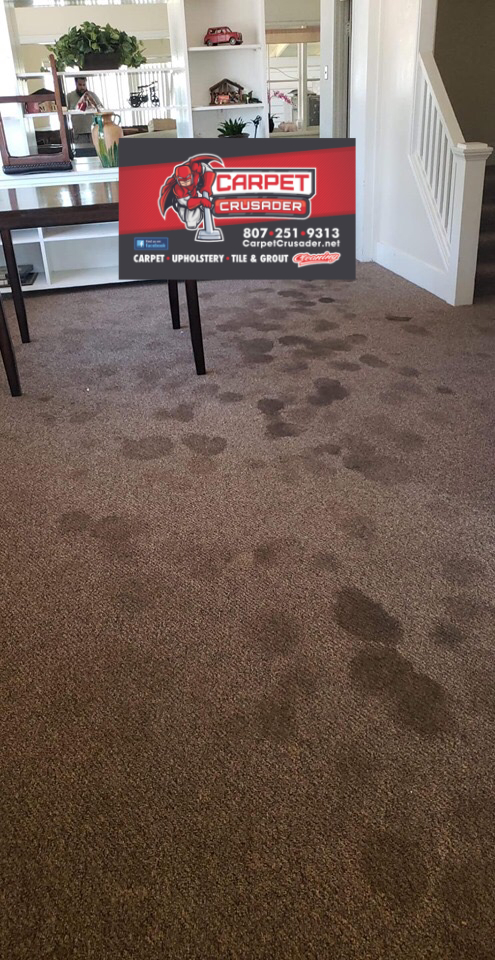 Carpet Crusader | 204 Essex Ct, Thunder Bay, ON P7A 7P2, Canada | Phone: (807) 251-9313