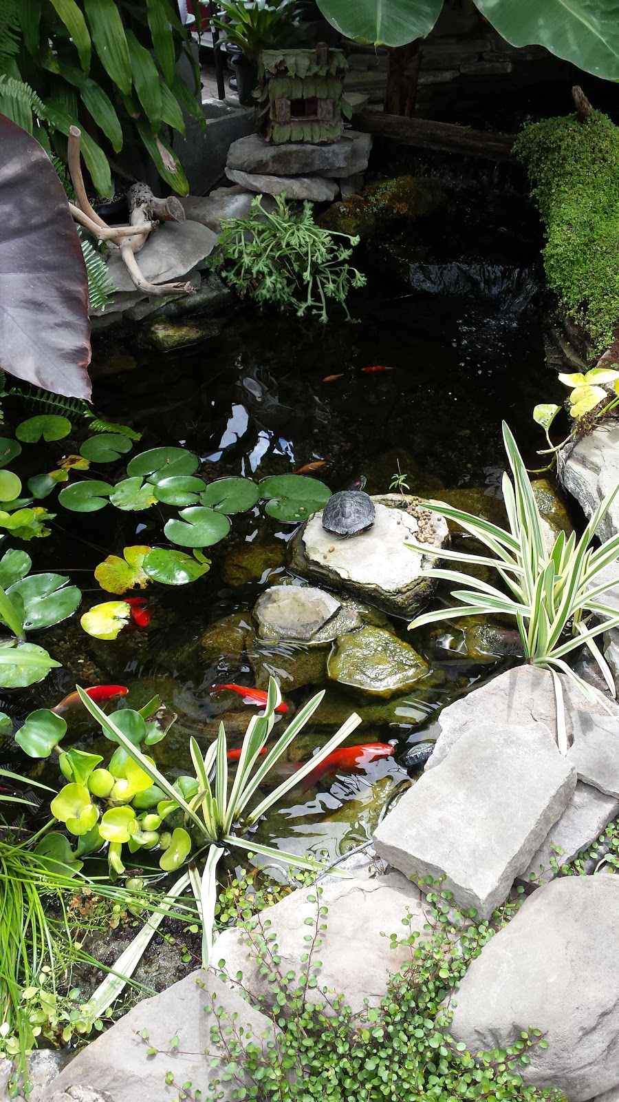 Menne Garden Artistry, LLC | 2934 Niagara Falls Blvd, North Tonawanda, NY 14120, USA | Phone: (716) 693-4444