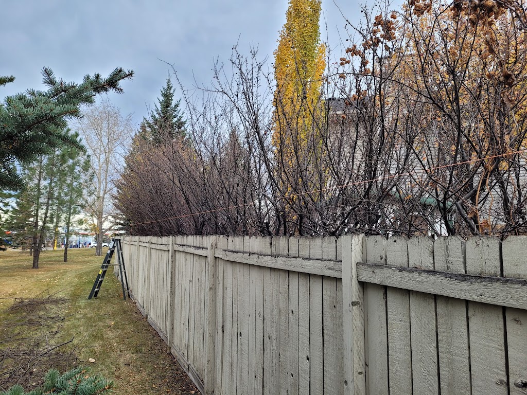 Eco-Land tree services and landscaping LTD | 119 Coachway Rd SW, Calgary, AB T3H 1B2, Canada | Phone: (587) 966-1905
