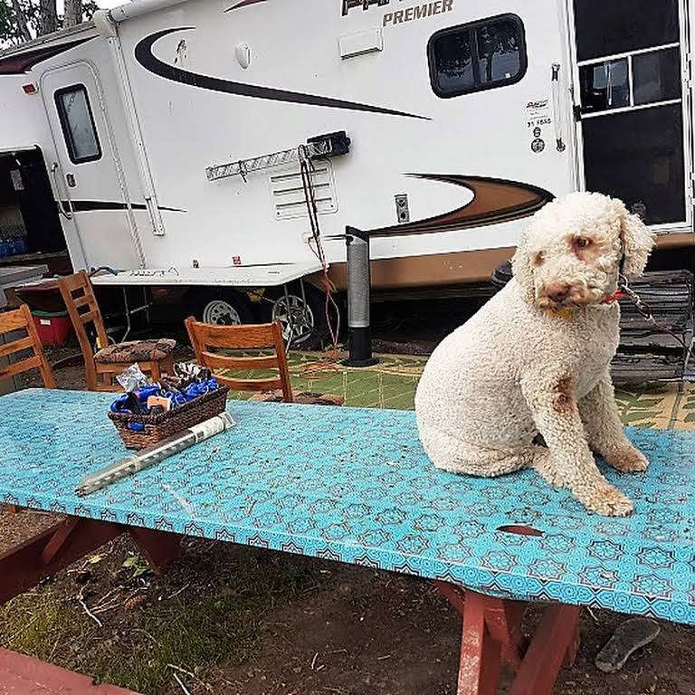 Ridge Park Campground | Lakeshore Blvd, Warner County No. 5, AB T0K 2S0, Canada | Phone: (403) 393-4341