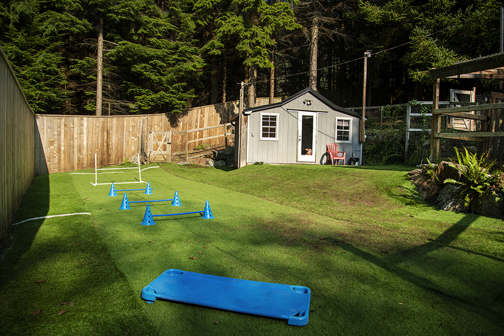 Bowen Island Dog Ranch | 1302 Adams Rd, Bowen Island, BC V0N 1G0, Canada | Phone: (604) 947-6965