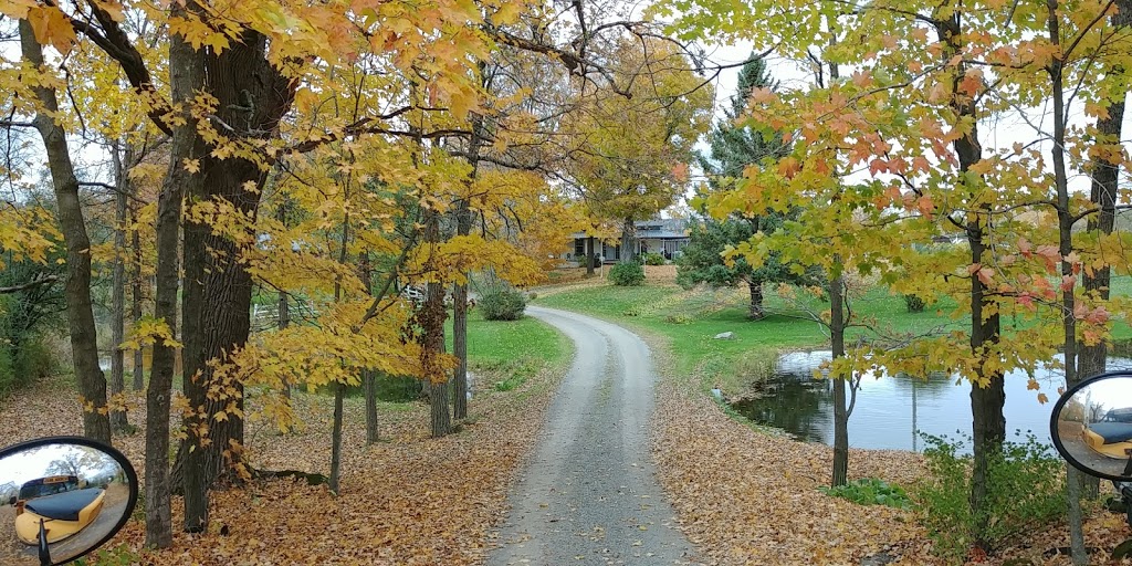 Edgewood Farms | 7602 Seventh Concession Rd, Addison, ON K0E 1A0, Canada | Phone: (613) 345-7894