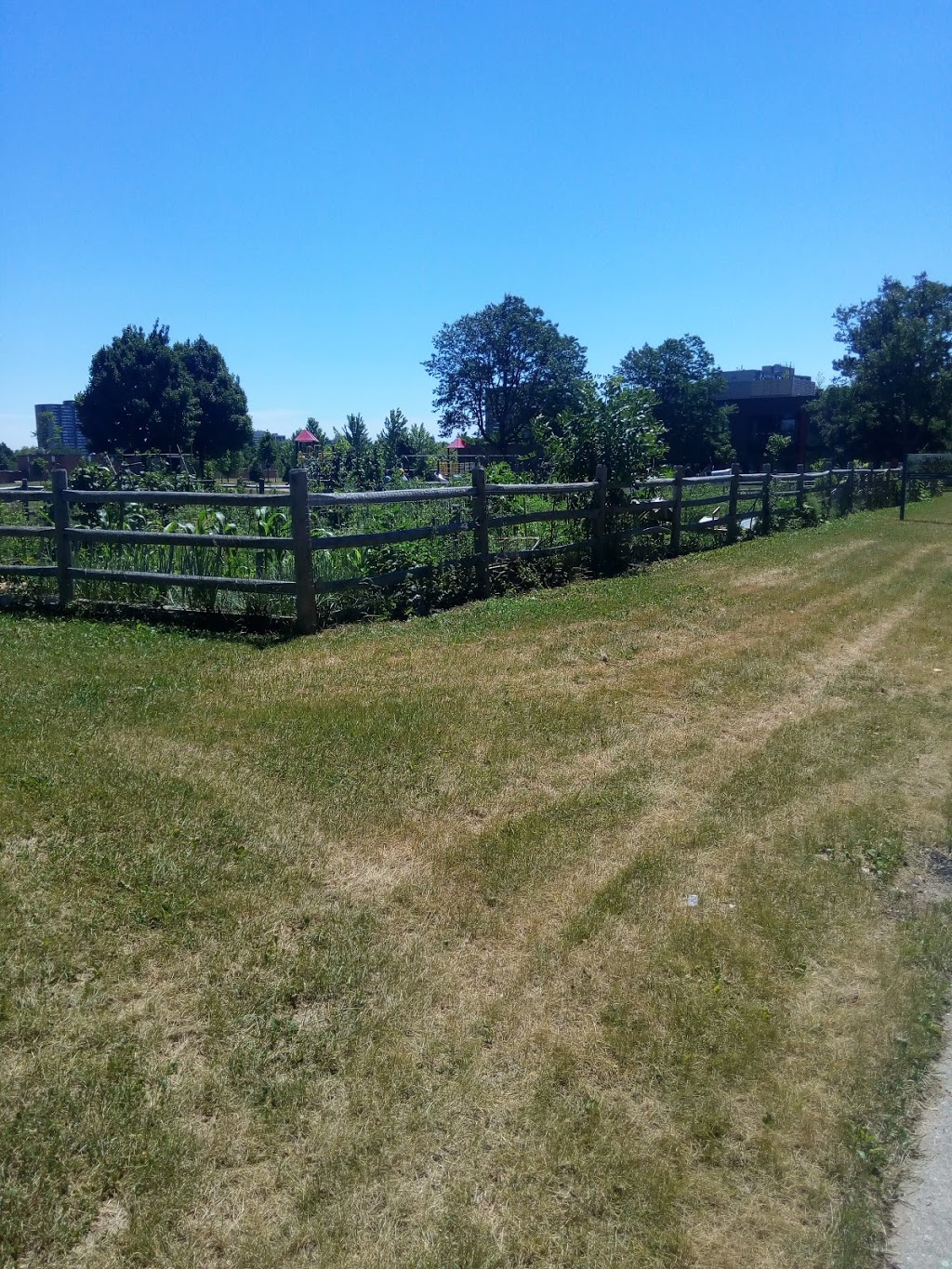 Chester Le Park | Scarborough, Toronto, ON M1W 2K7, Canada | Phone: (416) 338-4386