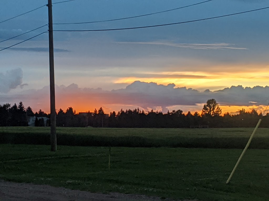 Prairie Urban Farm | 118 St NW, Edmonton, AB T6H 2V8, Canada | Phone: (780) 492-4598