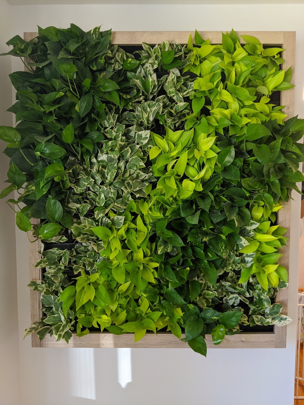 Urban Green | 100 Kellogg Ln, London, ON N5W 2T5, Canada | Phone: (519) 777-7977