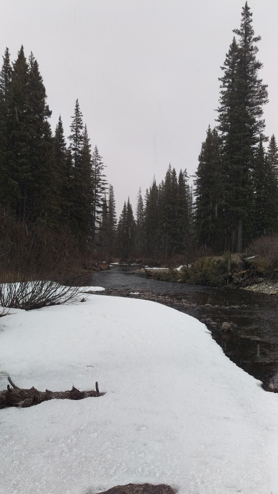 Beaverdam Provincial Recreation Area | Range Rd 145A, Clearwater County, AB T0M 2H0, Canada | Phone: (855) 721-3975
