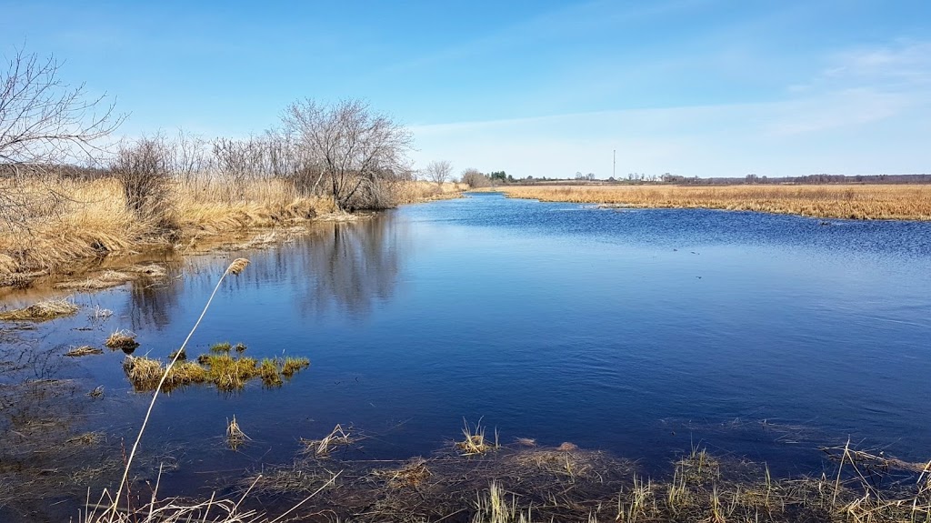 Friends of the National Wildlife Lac-Saint-François | 7600 Chemin de la Pointe-Fraser, Saint-Anicet, QC J0S 1L0, Canada | Phone: (450) 264-5908
