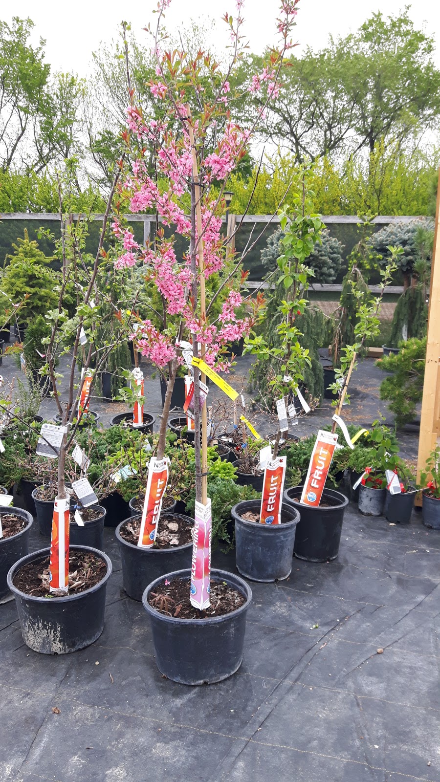 Cornell Design & Landscaping | 11 km South of on #2 HWY, Moose Jaw No. 161, SK S0H 0N0, Canada | Phone: (306) 693-8733