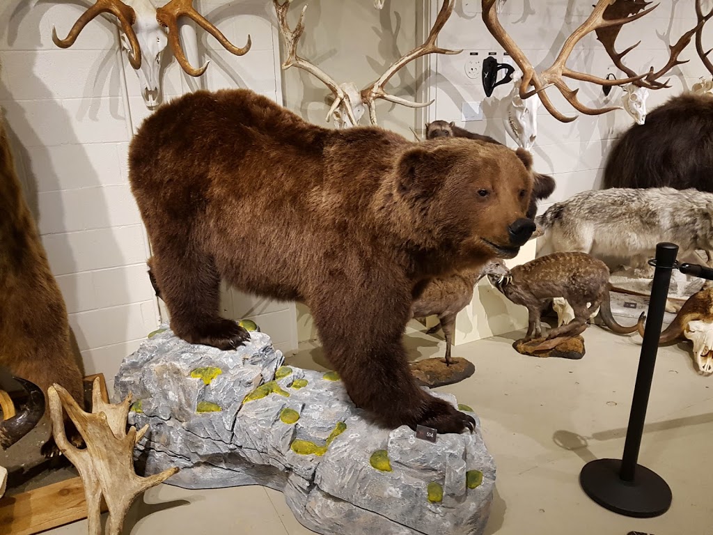 Hand of Man Museum | 6759 Considine Ave, Duncan, BC V9L 5X2, Canada | Phone: (888) 826-1011