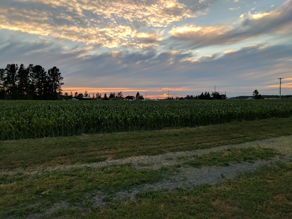 Riverside Park | 401 Park Dr, Everson, WA 98247, USA