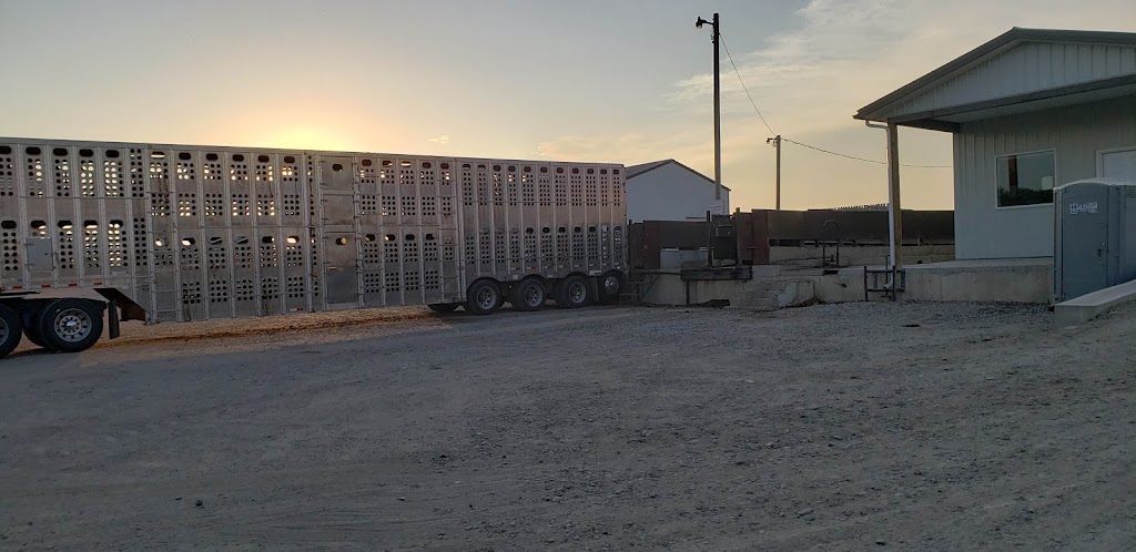 Grandview Cattle Feeders - South Lot | Range Rd 224, Shaughnessy, AB T0K 2A0, Canada | Phone: (403) 732-4222
