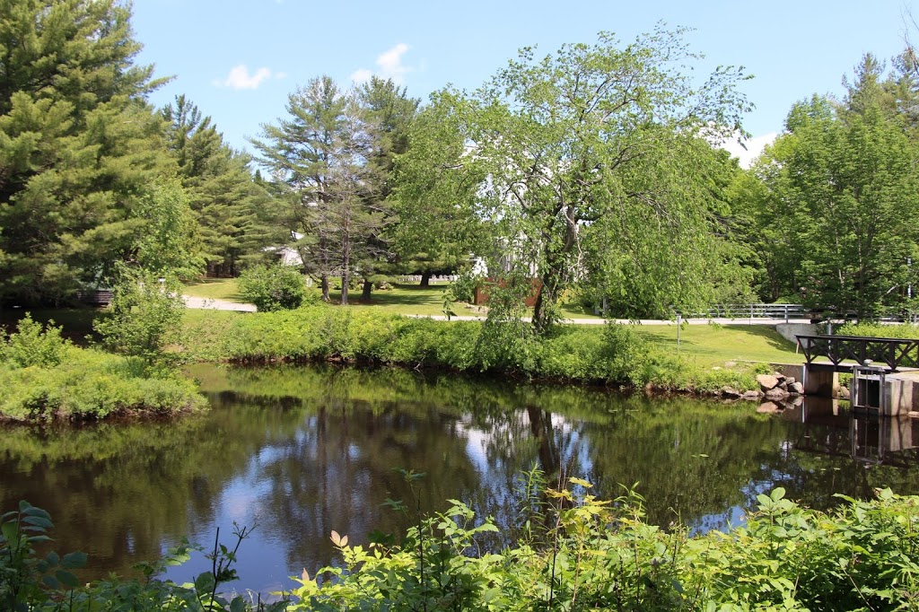 Orford Musique | 3165 Chemin du Parc, Orford, QC J1X 7A2, Canada | Phone: (819) 843-3981