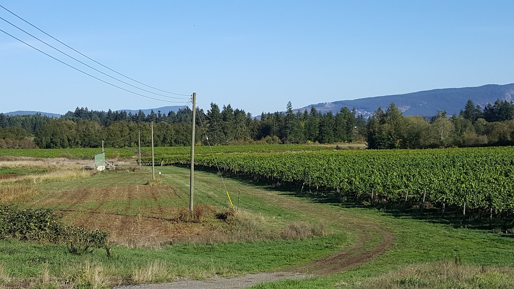 Deol Vineyard | 6645 Somenos Rd, Duncan, BC V9L 5Z3, Canada | Phone: (250) 746-3967