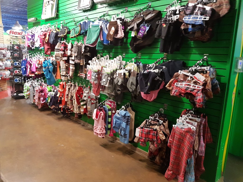 Animalerie Règne Animal Inc. | 35 Rue John-Savage #101, Bromont, QC J2L 0A5, Canada | Phone: (450) 534-9933